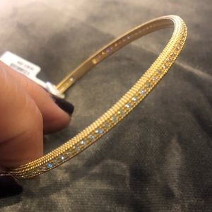 Freida Rothman Signature “Balargo” Collection Cubic Zirconia Vermeil Bangle-NWT